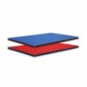 Adam Hall - Plaque SolidLite® PP bleu / rouge 9,4 mm, 2500 x 1250 mm